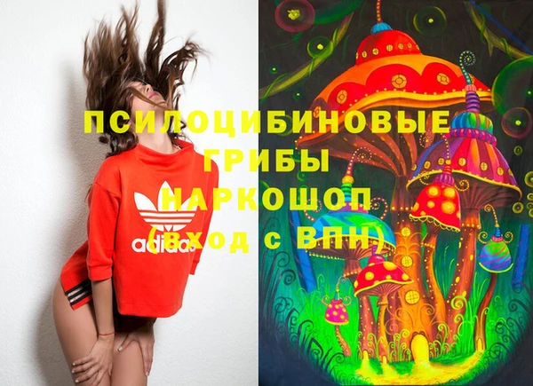 не бодяженный Володарск
