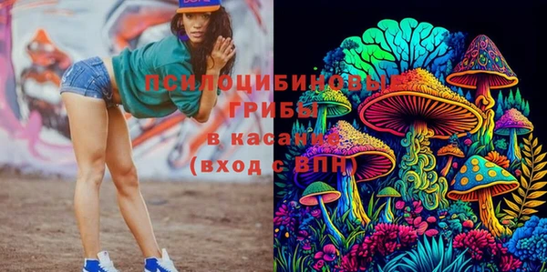 не бодяженный Володарск