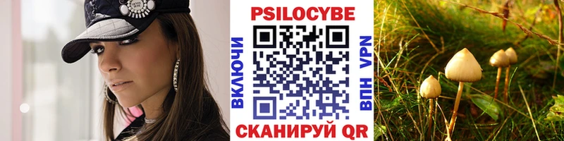 Купить  Канаш  Псилоцибиновые грибы Psilocybine cubensis 